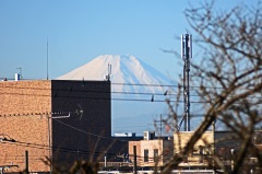 頂きから富士山