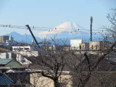 頂きから富士山