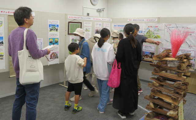 令和６年１１月４日　展示会場の様子
