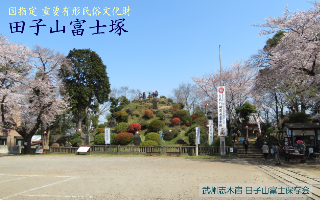 田子山富士塚の全景＠令和２年３月２６日